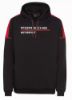 Picture of Hoodie, Motorsport, Mens